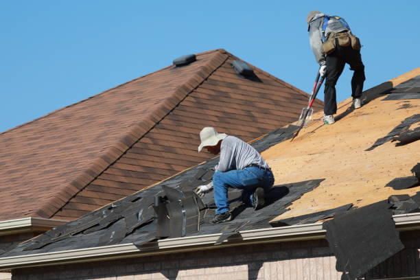 Best Sheet Metal Roofing  in Port Orange, FL