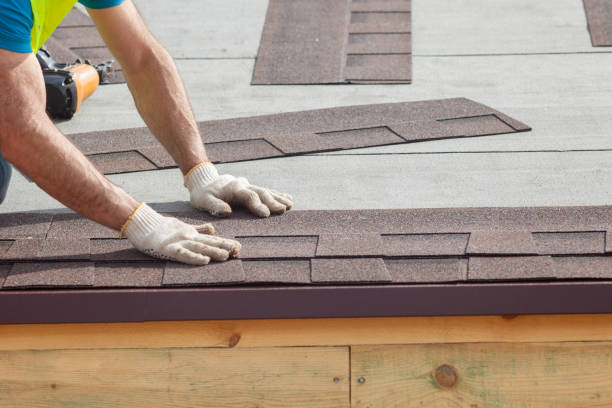 Best Roof Moss and Algae Removal  in Port Orange, FL